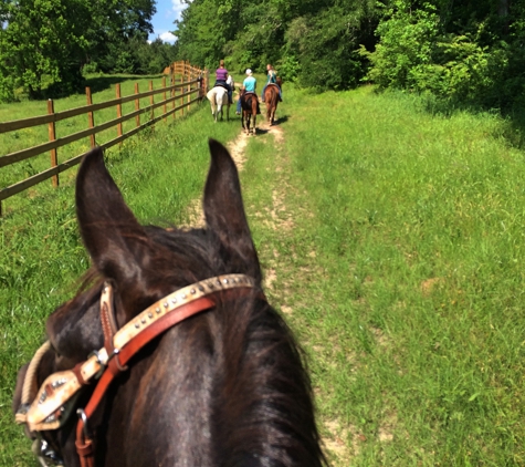 Tempe Creek Ranch - Livingston, TX