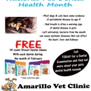 Amarillo Veterinary Clinic - Kennels