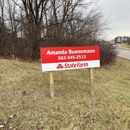 Amanda Buenemann - State Farm Insurance Agent - Insurance