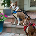 Canine Corral Kennels