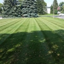 DD Lawn & Tree
