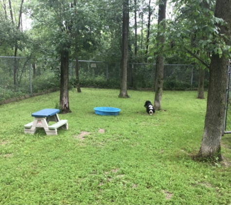 Ri Lee Kennels - Oconto Falls, WI. One of the shaded play paddocks