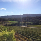 Arrowood Winery