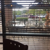 Bertucci's gallery
