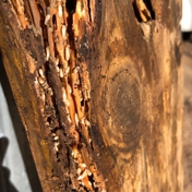 Gallery Image Number 3