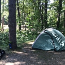 D.H. Day Campground