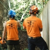 Lindsey's Tree Service gallery
