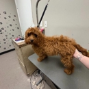 Unleashed Pet Resort - Hostels