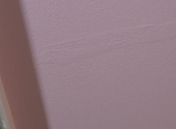High-Calibre Painting and Decorating Services - Blue Haven, NSW