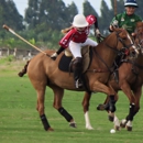 Deal Is A Deal Polo - Horse Breeders