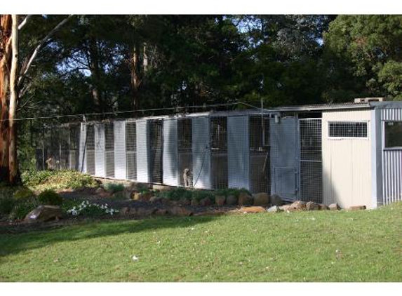 Grindelwald Kennels & Cattery - Legana, TAS