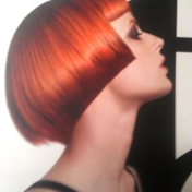 Gallery Image Number 1