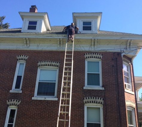 Animal  Control of New England - Huntington, MA. bat exclusion in Westfield