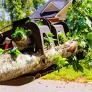 Cut And Run Tree Service