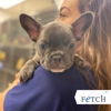 Fetch Specialty & Emergency Veterinary Centers - Greenville, SC gallery