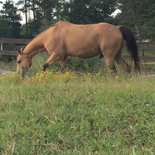 Trinity Stables - Lawrenceville, GA