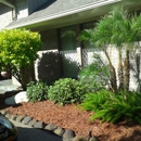 South Texas Advanced Lawncare - Landscaping & Lawn Services