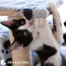 Alley Cat Allies - Animal Shelters