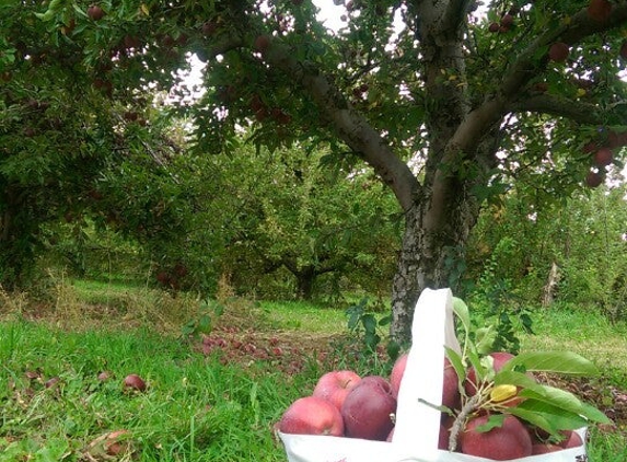 Barton Orchards - Poughquag, NY