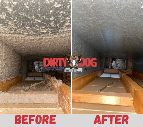 Dirty Dog Carpet, Surface and Duct Cleaning - Harrisonburg, VA