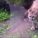 New York State Zoo at Thompson Park - Zoos