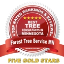 Forest Tree Service MN - Tree Service