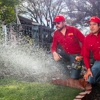 Complete Lawncare & Tree Service gallery