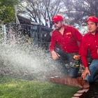 Complete Lawncare & Tree Service