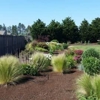 Turf-N-Soil Landscaping LLC gallery