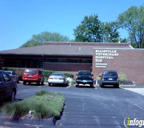 Ellisville Veterinary Hospital - Ballwin, MO