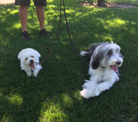 Wag Time Dog Training - Antelope, CA