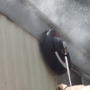 HOT WATER PRESSURE WASHING; Shine Under Pressure gallery