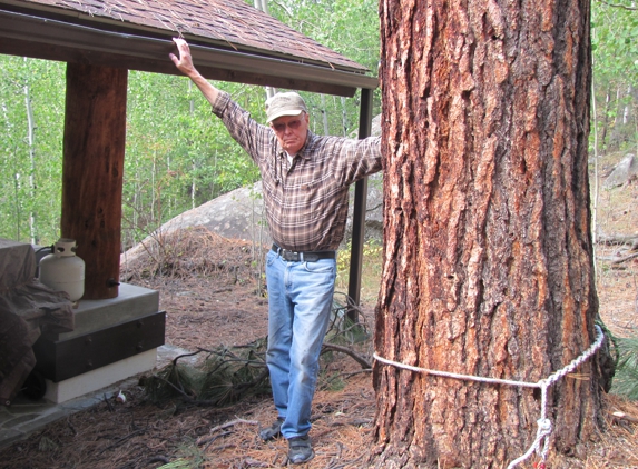 Mount Helena Tree Experts L.L.C. - Helena, MT