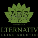 Alternative Billing Solutions - Billing Service