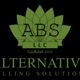 Alternative Billing Solutions