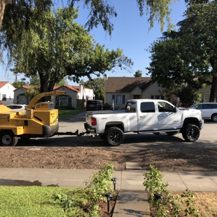 Garden Green Landscaping - Los Angeles, CA