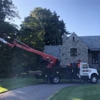 East Coast Tree Service LLC gallery