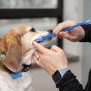 West Concord Animal Clinic - Veterinary Clinics & Hospitals