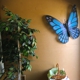 Deb's Butterfly Patch Florist