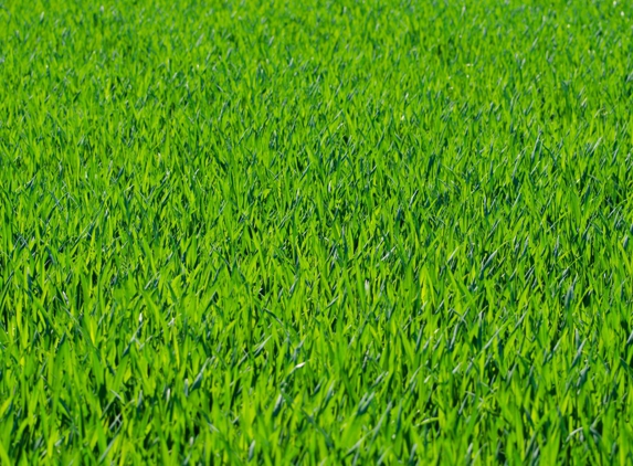 Wyndham Mowing & Garden Care - Altona, VIC