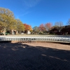 Star Event Rentals gallery