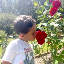 Andalusia Gardens