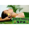 Bird of Paradise Spa gallery