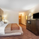 Comfort Inn at Thousand Hills - Motels