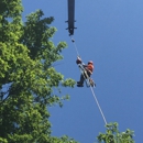 Pridemark Tree Services, LLC - Tree Service