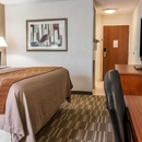 Spark by Hilton Ann Arbor South - Lodging