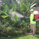 Mosquito Scott Pest Control - Pest Control Services