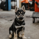 Brown's Service Center - Auto Repair & Service