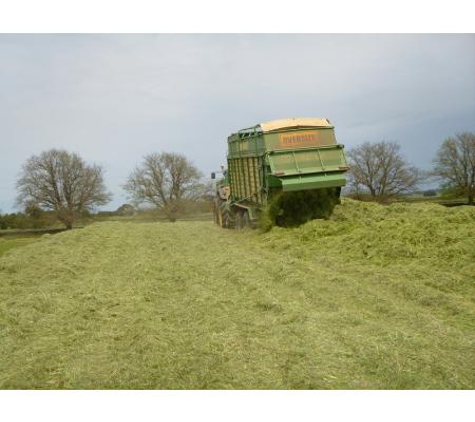 Logan Contracting - Cobden, VIC