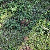 Gallery Image Number 2